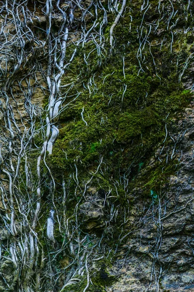 Ongelooflijke Texturen Het Natuurpark Cabarceno Cantabrië Noordkust Van Spanje — Stockfoto