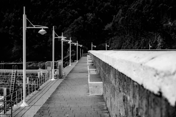 Stilvolle Laternen Und Eine Promenade Fischereihafen Armintza Baskenland Nordspanien Schwarz — Stockfoto