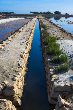 Muhteşem Salinas de Santa Pola Doğal Parkı. Alicante vilayeti. İspanya