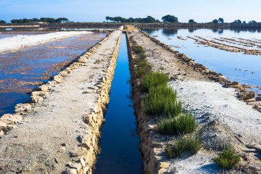 Muhteşem Salinas de Santa Pola Doğal Parkı. Alicante vilayeti. İspanya