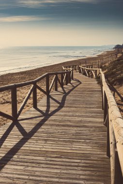 Guardamar del Segura yakınlarındaki bir doğa parkında. Eski tarz. Alicante vilayeti. İspanya