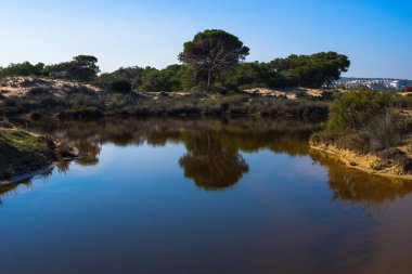 Guardamar del Segura yakınlarındaki çarpıcı doğal park. Alicante vilayeti. İspanya