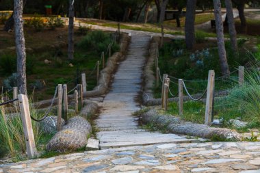 Guardamar del Segura yakınlarındaki çarpıcı doğal park. Alicante vilayeti. İspanya