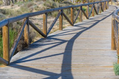 Guardamar del Segura yakınlarındaki çarpıcı doğal park. Alicante vilayeti. İspanya