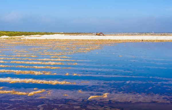 Великолепный Природный Парк Salinas Santa Pola Провинция Аликанте Испания — стоковое фото