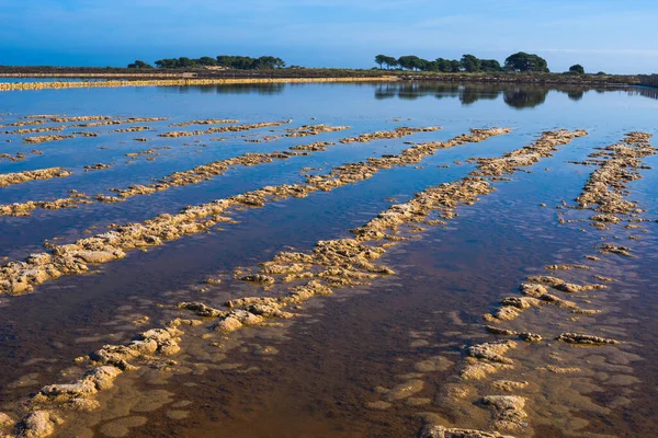 Великолепный Природный Парк Salinas Santa Pola Провинция Аликанте Испания — стоковое фото