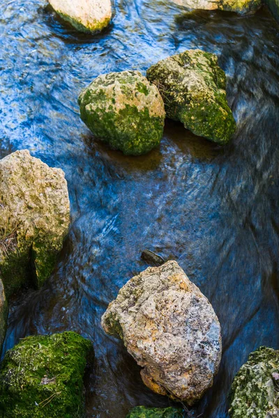 Fantastisk Naturpark Nära Guardamar Del Segura Provinsen Alicante Spanien — Stockfoto