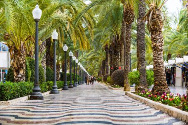 Alicante 'deki Esplanada Bulvarı. Alicante bölgesi. İspanya