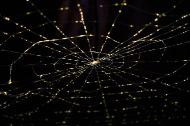 Web şeklinde LED çelenk. Alicante. İspanya