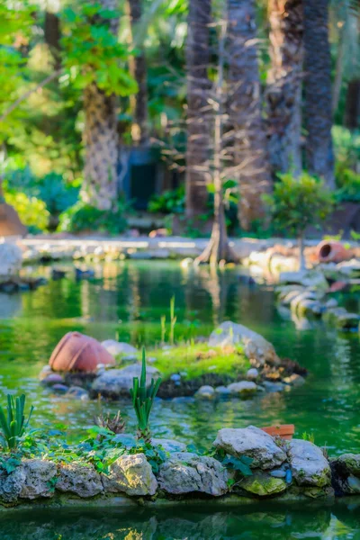 Botaniska Trädgården Huerto Del Cura Elche Nära Alicante Alicanteprovinsen Spanien — Stockfoto