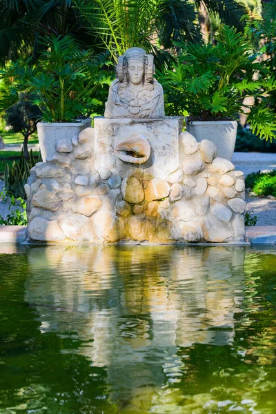 Botaniska Trädgården Huerto Del Cura Elche Nära Alicante Alicanteprovinsen Spanien — Stockfoto