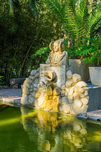 Botanischer Garten Von Huerto Del Cura Elche Bei Alicante Provinz — Stockfoto