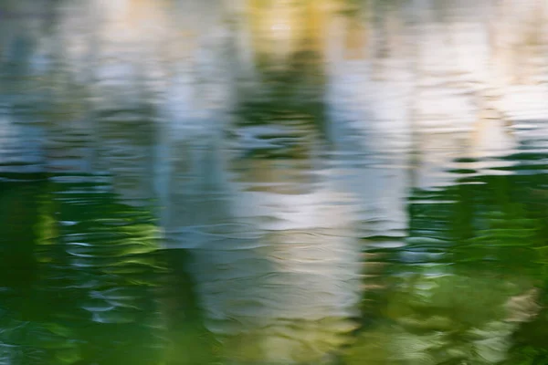 Verschwommenes Spiegelbild Teich Des Botanischen Gartens Stadt Elche Provinz Alicante — Stockfoto