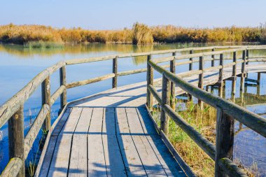 Elche şehrinin yakınındaki inanılmaz doğal park. Alicante vilayeti. İspanya