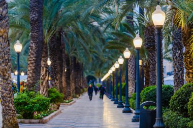 Alicante 'deki Esplanada Bulvarı. Alicante bölgesi. İspanya