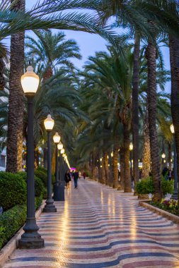 Alicante 'deki Esplanada Bulvarı. Alicante bölgesi. İspanya