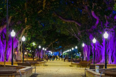 Alicante 'deki Canalejas Parkı. İspanya
