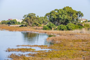 Torrevieja yakınlarındaki La Mata Gölü Doğa Koruma Alanı. Alicante bölgesi. İspanya