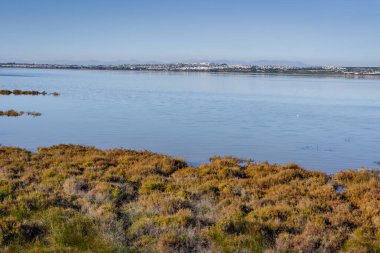Torrevieja yakınlarındaki La Mata Gölü Doğa Koruma Alanı. Alicante bölgesi. İspanya