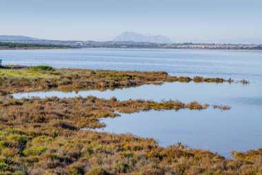 Torrevieja yakınlarındaki La Mata Gölü Doğa Koruma Alanı. Alicante bölgesi. İspanya