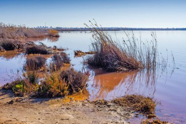 Torrevieja kasabası yakınlarında pembe tuz gölü. Alicante bölgesi. İspanya