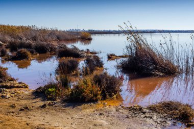 Torrevieja kasabası yakınlarında pembe tuz gölü. Alicante bölgesi. İspanya