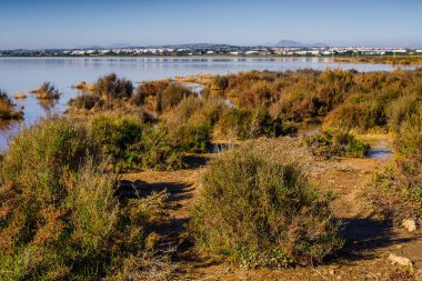 Torrevieja kasabası yakınlarında pembe tuz gölü. Alicante bölgesi. İspanya