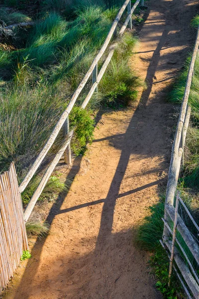 Mata Luonnonpuisto Lähellä Torreviejaa Alicanten Maakunnassa Espanja — kuvapankkivalokuva
