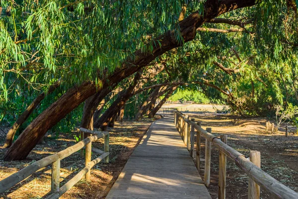 Torrevieja yakınlarındaki La Mata Doğal Parkı. Alicante bölgesi. İspanya