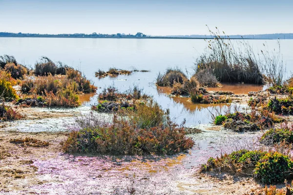 Розовое Соленое Озеро Возле Города Торревьеха Провинции Аликанте Испания — стоковое фото