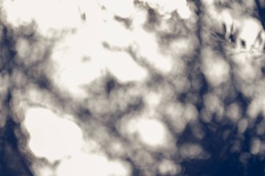 Bulanık arkaplan ve güzel bokeh