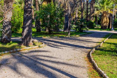 Şehir Parkı. Elche, Alicante vilayeti. İspanya