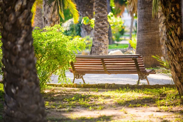 City Park Elche Provincia Alicante Spagna — Foto Stock