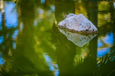 Şehir Parkı. Elche, Alicante vilayeti. İspanya