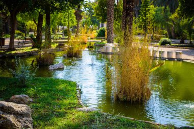 Şehir Parkı. Elche, Alicante vilayeti. İspanya