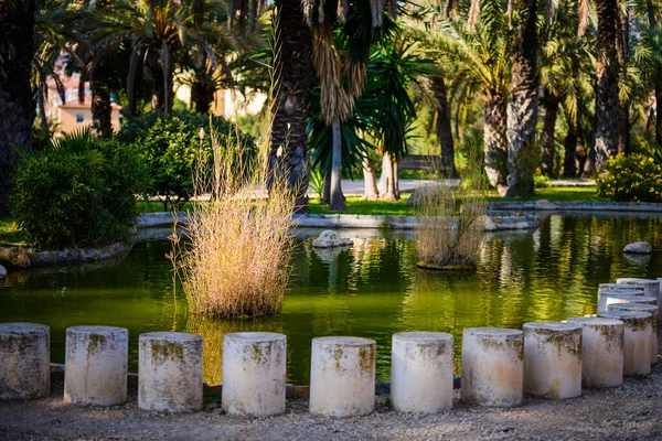 Városi Park Elche Alicante Tartomány Spanyolország — Stock Fotó