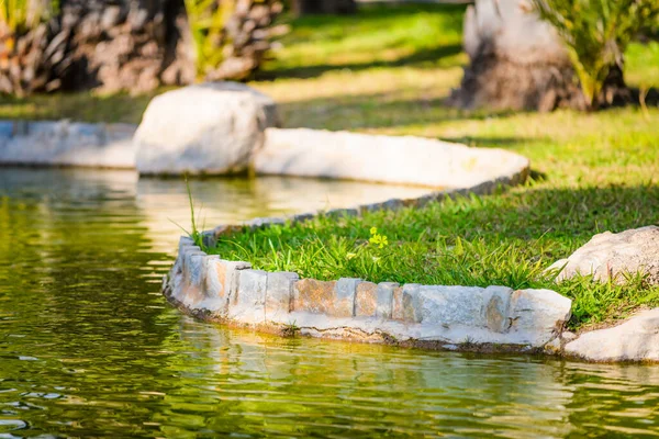 Stadsparken Elche Provinsen Alicante Spanien — Stockfoto