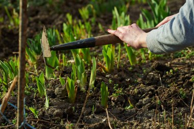 İlkbahar ve yaz aylarında bahçede çalışmak