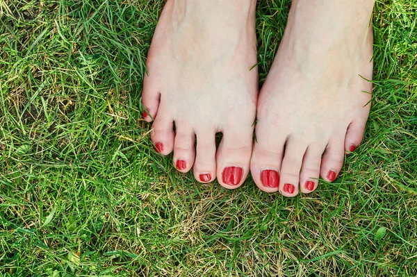 Vrouwelijke Voeten Groen Gras Met Rode Nagels — Stockfoto
