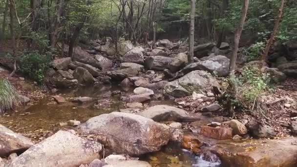 Un arroyo de agua de la montaña — Vídeo de stock