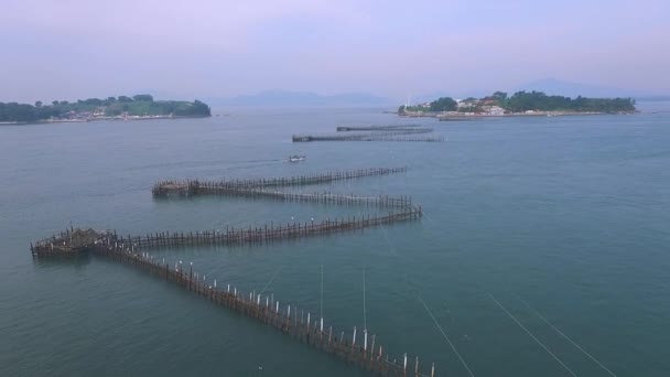 Trampa de pescado de bambú en el mar — Vídeo de stock