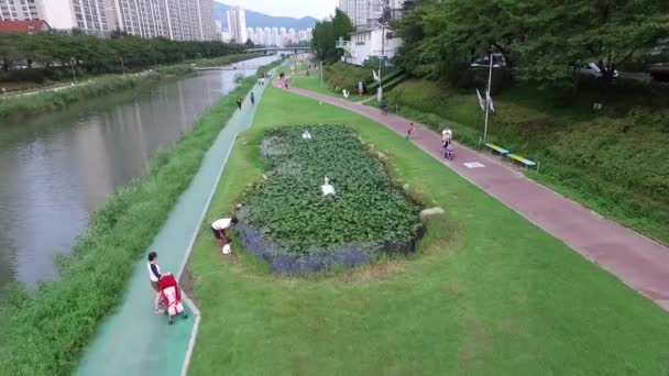 Vom Geumjeong-Gebirge zum Haeundae-Meer — Stockvideo