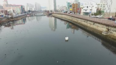 Oncheoncheon birçok kuş Ocak-05-2018 zaman ile havadan görünümü