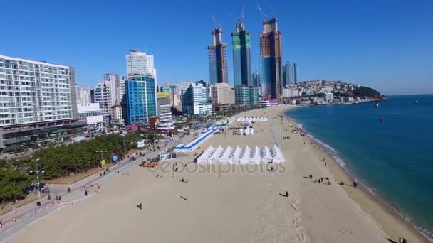 20180106 Helgen Chungsapo Port Helg Chungsapo Port Haeundae Sydkorea Asien — Stockvideo