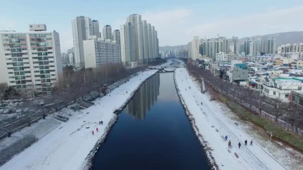 Śnieg Onchencheon Busan Korea Południowa Azja Gdy Jan 2018 — Wideo stockowe
