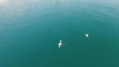 Beomil2 limanıdır Haeundae arasında yer alan ve Gwangalli / Beomil2 Port Jan-15-2018 zaman. Beomil2 bağlantı noktası Haeundae arasında yer alan ve Gwangalli var. küçük bağlantı noktası ve iki deniz feneri