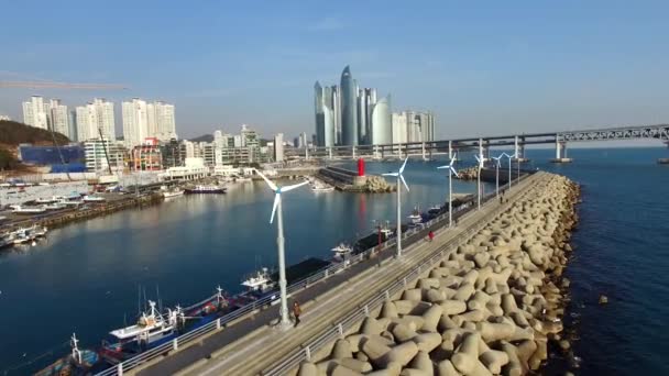 Minrak Port Található Között Haeundae Gwangalli Minrak Port Amikor Január — Stock videók