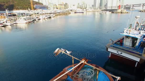 Minrak Port Beläget Mellan Haeundae Och Gwangalli Minrak Port När — Stockvideo