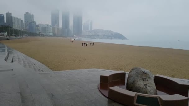 Regniga grumlig vintern Haeundae Beach — Stockvideo