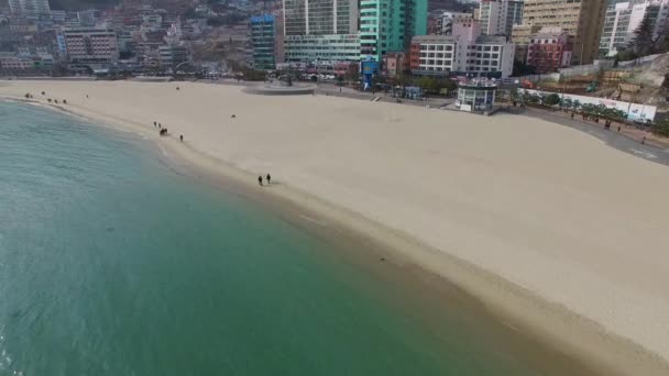 Légifelvételek Songdo Beach Légi Nézetet Songdo Beach Busan Dél Korea — Stock videók
